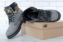 Жіночі зимові черевики Caterpillar Colorado Grey, жіночі черевики. ТОП Репліка ААА класу., фото 2