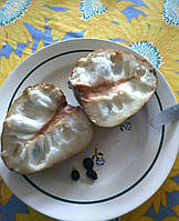 Гравиола ( гуанабана) насіння