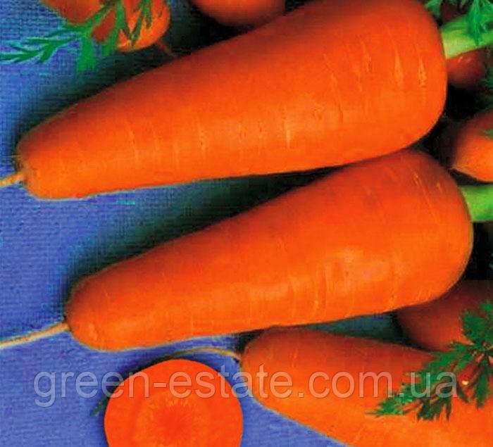 Морковь Курода Шантане 10 г. - фото 2 - id-p808480807