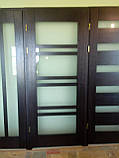 Двері міжкімнатні шпоновані дубом Аванти, фото 8
