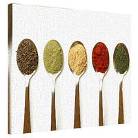 Картина на полотні на стіну для інтер`єру/спальні/прихожої Спеції в ложці 40х50 см (H4050_YM009)