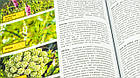Книга шкіряна "Енциклопедія бджільництва", фото 8