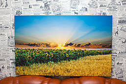 Картина на полотні "Поля соняшника та пшениці. Світанок. Природа України".  80х50 см.