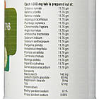 Варунаді каша (Nupal) — аюрведа преміум'якості, 100 таблеток, фото 3