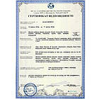 Ексстоун (Nupal Remedies), 50 капсул — аюрведа преміум'якості, фото 4
