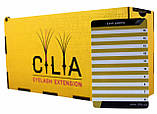 LashBox Для Ресниць Cilia [GOLD] (Лешбокс З 10 планшетками), фото 4
