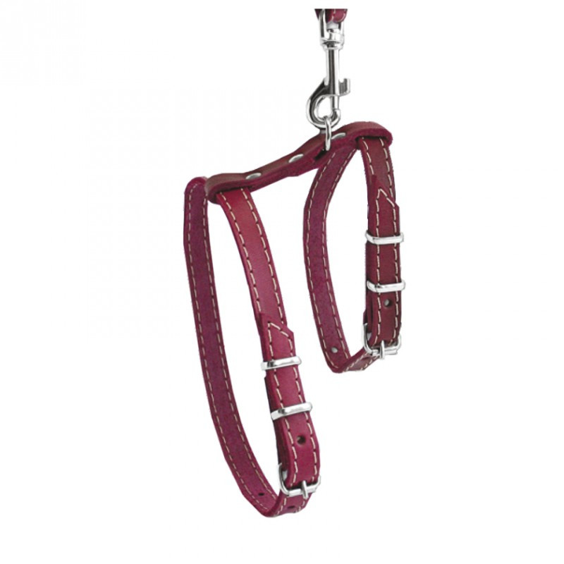 Шлейка 831 "КЛАСИК" для котів №2