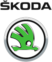 Ремонт іммобілайзера Skoda/запис ключів Skoda