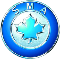 Ремонт іммобілайзера SMA Maple / Запис ключів SMA Maple