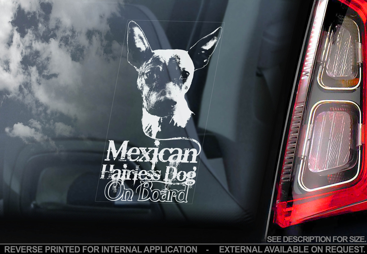 Шолоитцкуинтли (Шоло) (Ксоло) Мексиканская голая собака стикер - фото 1 - id-p36839224