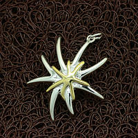 Кулон "Золота зірка"