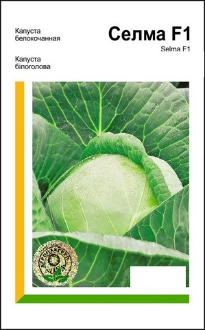 Капуста Селма F1 20 шт Rijk Zwaan, фото 1