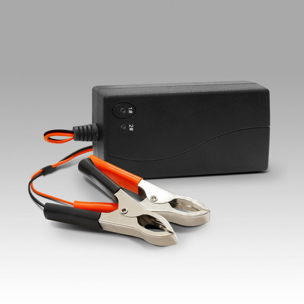 Зарядний пристрій до свинцево-кислотних акумуляторів (SLA,GEL) MT02D-2420 ( 24v 2A ), фото 1