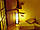 Бамбукові шпалери лак світлі 90см - планка 8мм TM Safari, фото 6