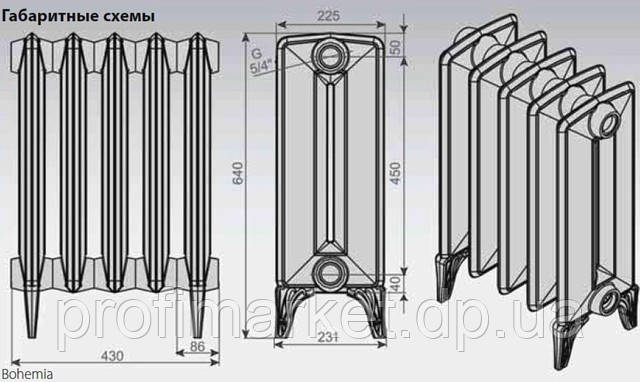 Радиатор чугунный дизайнерский VIADRUS Bohemia 450/225 - фото 2 - id-p5603407