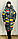 Пуховик жіночий довгий стьобаний із капюшоном на блискавці кольоровий, фото 4