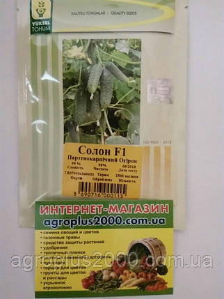 Насіння Огірок самозапильний Солон F1, 2500 насінин Yuksel seeds, фото 1