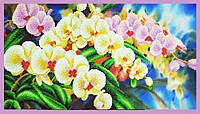 Набор для вышивки бисером ТМ "Картины бисером" Орхидеи в саду Р-308