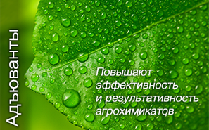 Прилипачі, адьюванты