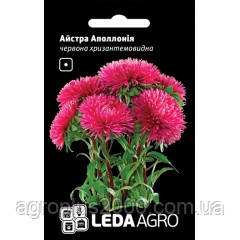 Насіння Астра хризантемоподібна Аполлонія Червона 0,2 грама Hem Zaden