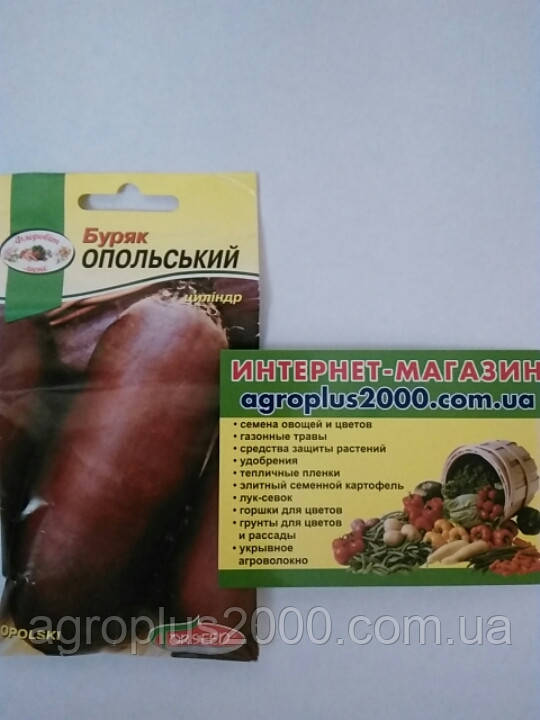 Насіння Бурякла столова Опольська 10 грамів Torseed