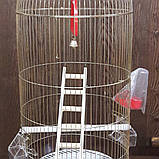 Адель(33×67), фото 3