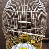 Клітка для папуга кругла D48*76,5 см, фото 2