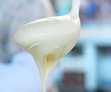 СМЕТАНА класична (закваска на 3-5л), фото 4