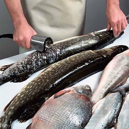 Рыбочистки