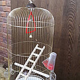 Адель(33×67), фото 2