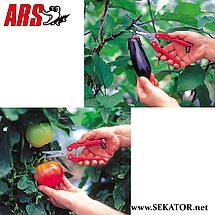 Секатор-ножиці ARS / АРС SE-45, фото 2