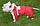 Костюм для собаки на синтепоні Аляска21х27 см, фото 5