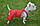 Костюм для собаки на синтепоні Аляска21х27 см, фото 6