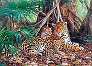 Пазли Castorland 3000 елементів "Ягуар в джунглях" (C-300280), фото 2