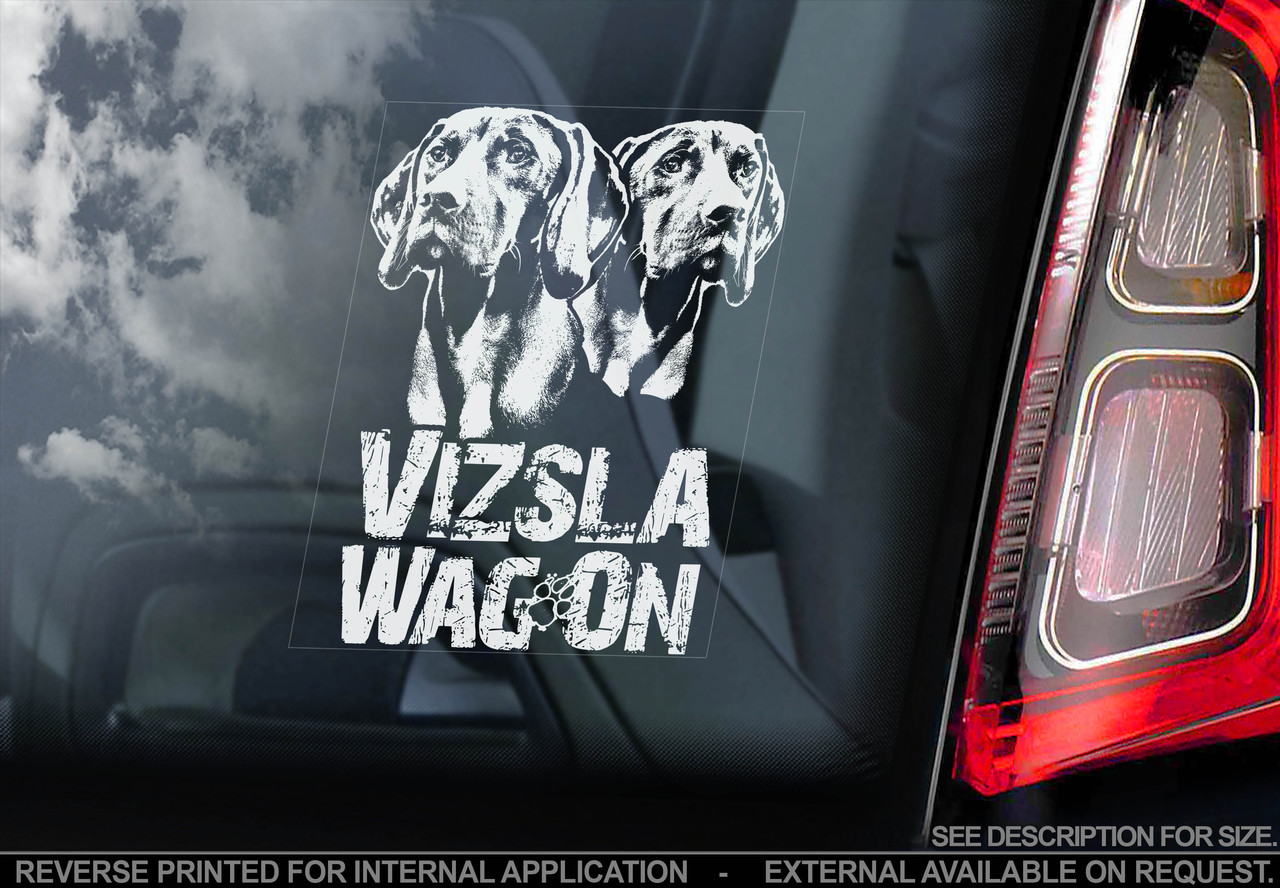 Угорська вижла (венгерська легая) Viszla стикер, фото 1