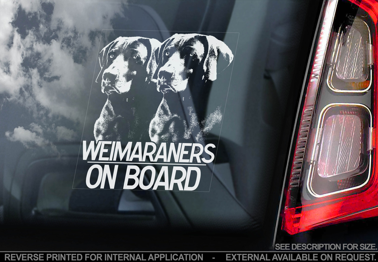 Веймаранер, веймарська легава (Weimaraner) стикер, фото 1