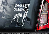 Уіпет (Whippet) стикер, фото 2