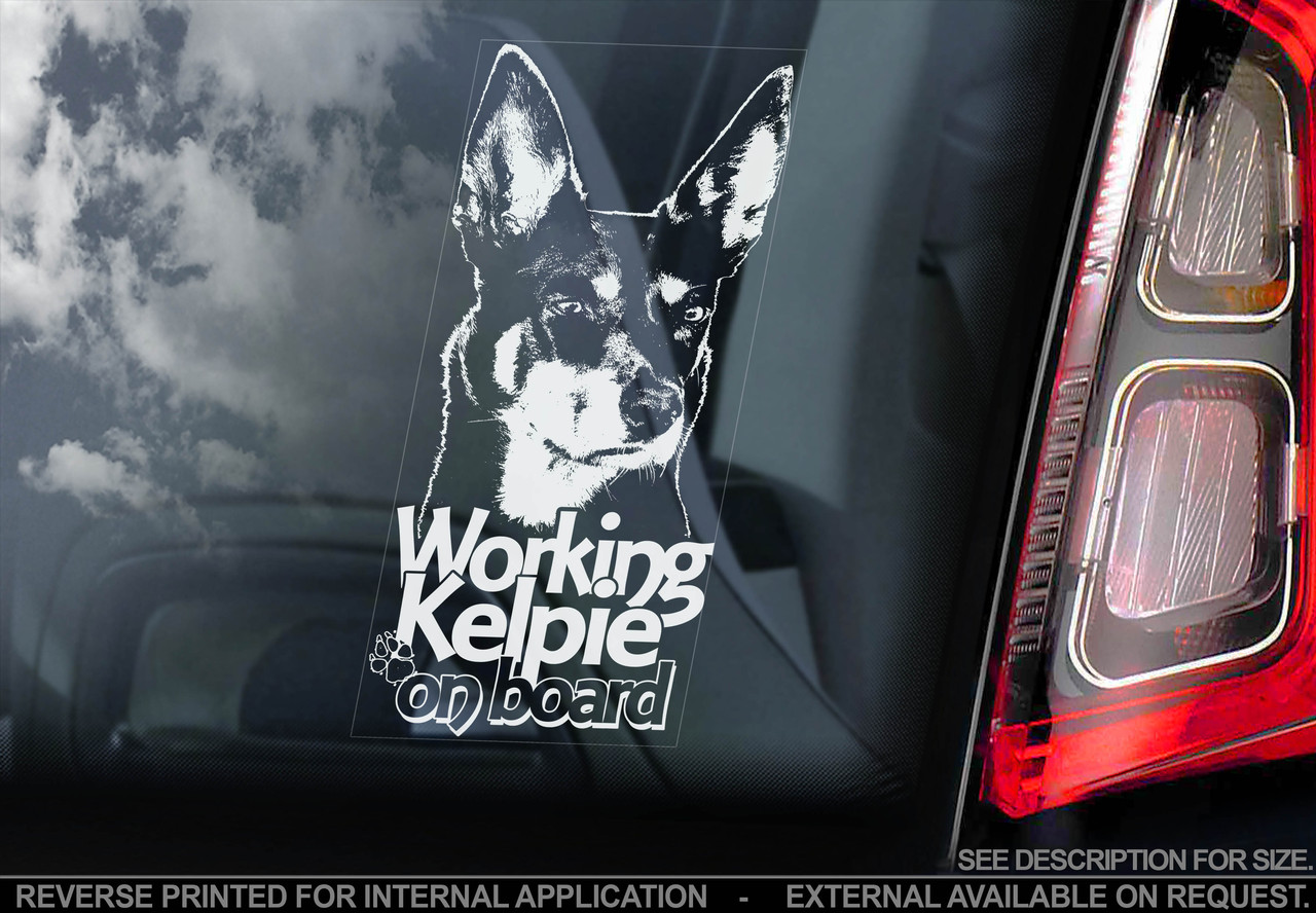 Австралійський Келпі (Australian Kelpie) стикер, фото 1