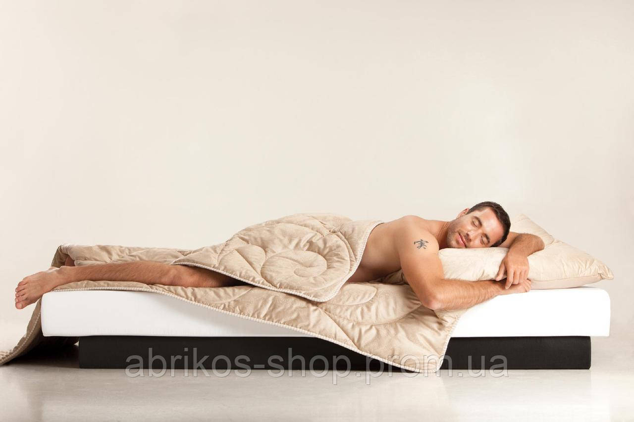 Високоякісна, тепла ковдра з верблюжої вовни — Odeja Camelfil N Extra (140 х 200) (Словіння), фото 1