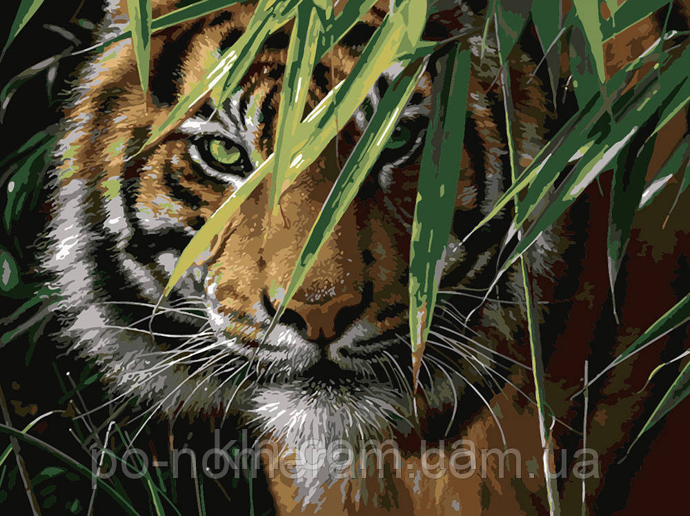 Картина за номерами Menglei MG1003 Погляд хижака 40 х 50 см, фото 1