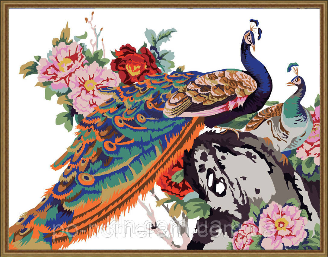 Картина за номерами Menglei MG110 Павич 40 х 50 см, фото 1