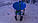 Картоплесаджалка мотоблочная КСМ-1ЦУ (синя), фото 4