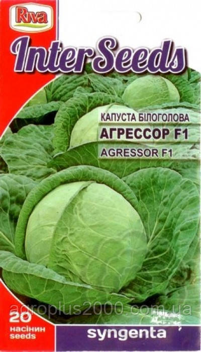 Насіння Капуста білокачанна пізня Агресор F1, 20 насінин Syngenta Riva