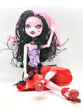 Ляльки Monster High Монстер Хай серія Monster Elves Шарнірна (27 см) TOY006, фото 6