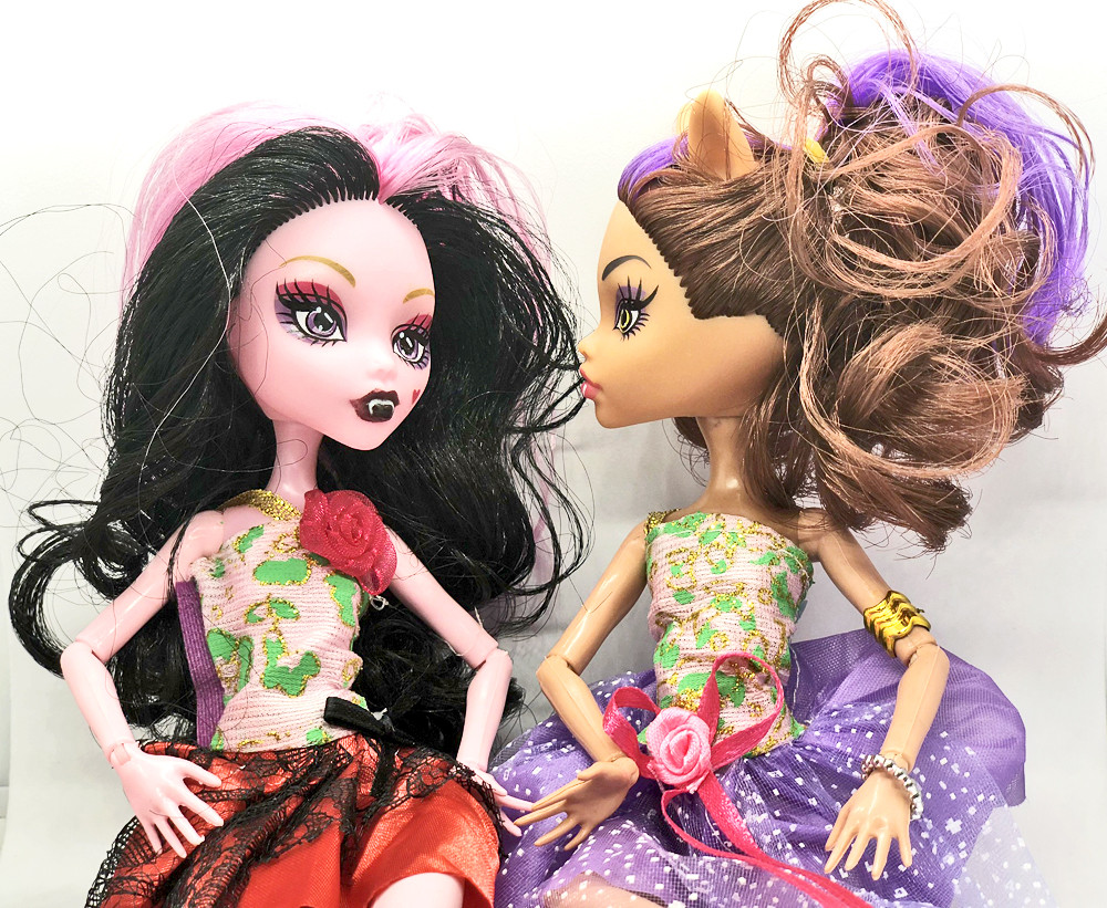 Ляльки Monster High Монстер Хай серія Monster Elves Шарнірна (27 см) TOY006, фото 1
