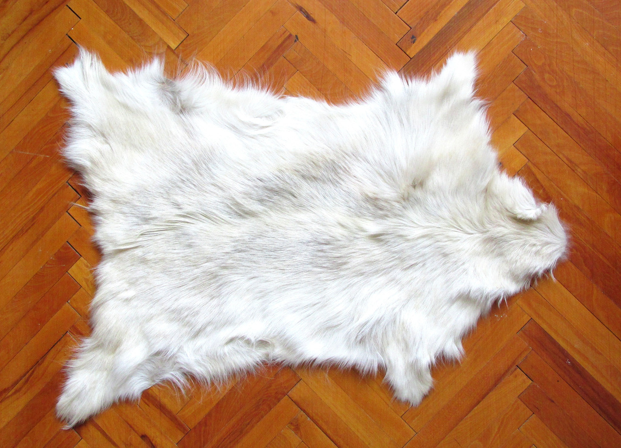 Шкура кози ШК3