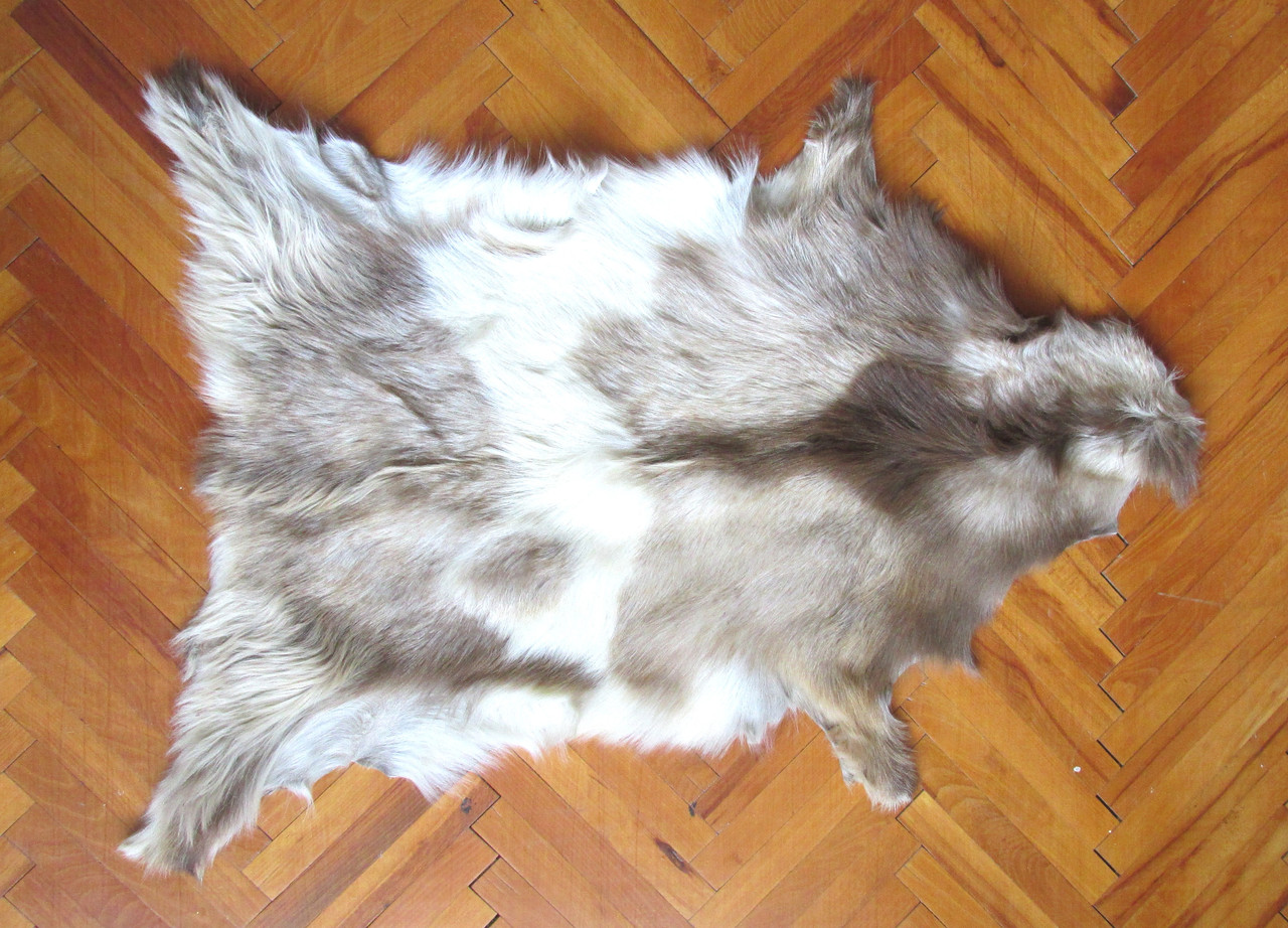 Шкура кози ШК4