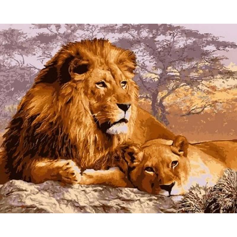 Набір живопису за номерами Царствений відпочинок VP992 Babylon Turbo 40 х 50 см, фото 1