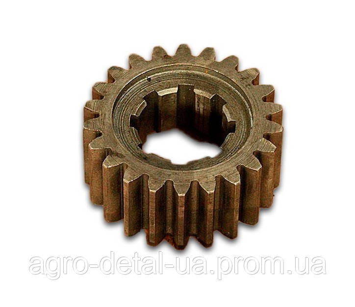 Шестерня 151.37.128 ведуча,заднього ходу коробки Т-151,Т-150Г,Т-156Б-09-03, Т-17221-06, фото 1