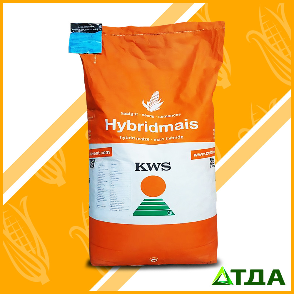 Насіння гібриду кукурудзи КВС 2370 ФАО 280
